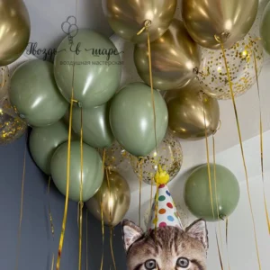 котее